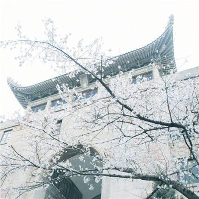 辽宁12市迎暴雪 高速公路关闭